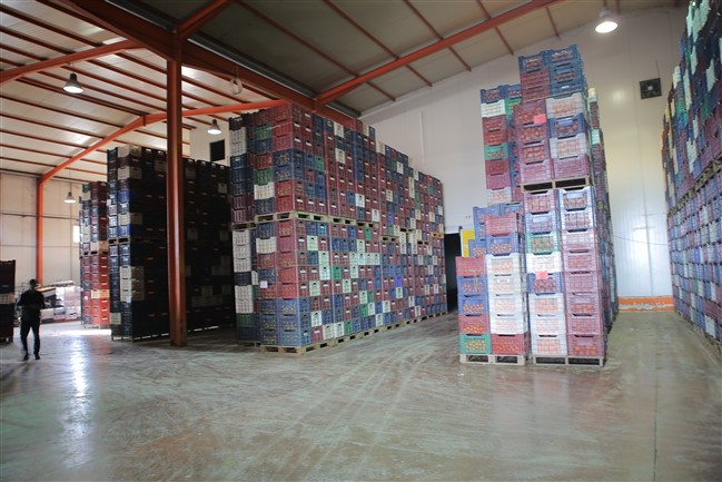 mersin8e4c0ba8-524b-460c-9290-e3cfe1c07b0c.jpg